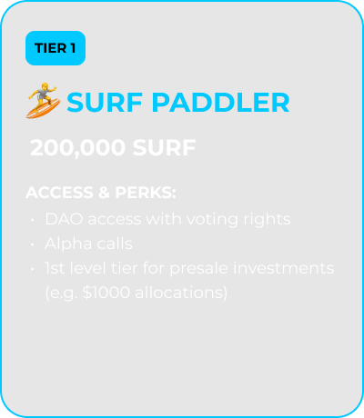 Surf Paddler